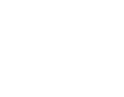 Logo Enzo blanc